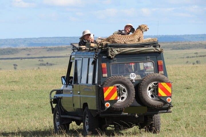 8 Days Masai Mara Lake Manyara, Ngorongoro and Serengeti Safari