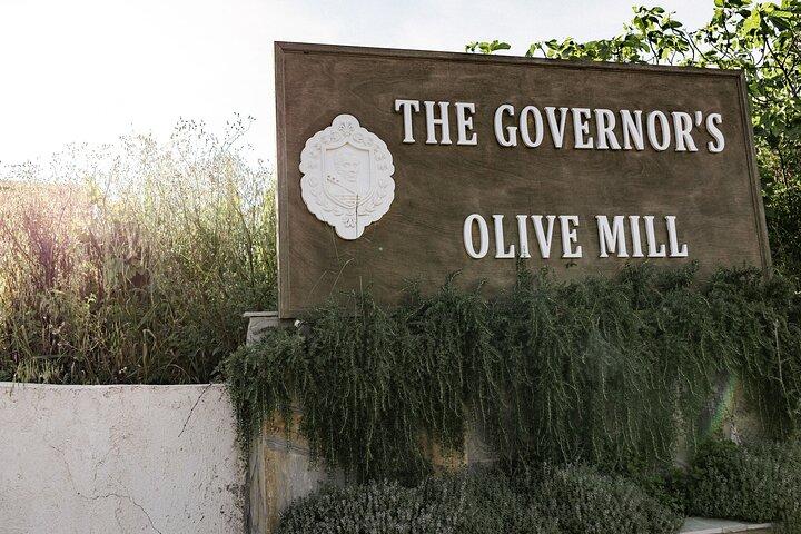 The Governor's Olive Mill Tour with Olive Oil Tasting