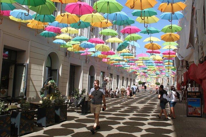 Private Day Trip/Transfer Tour from Belgrade to Timisoara