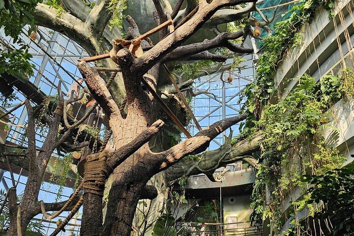 Dubai Green Planet Rainforest Admission Ticket