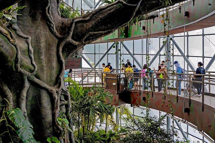 Dubai Green Planet Rainforest Admission Ticket