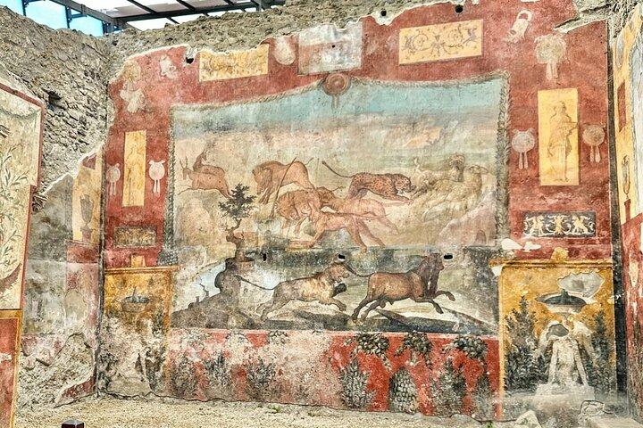 Pompeii & Vesuvius Hike Small Group Priority Access from Sorrento