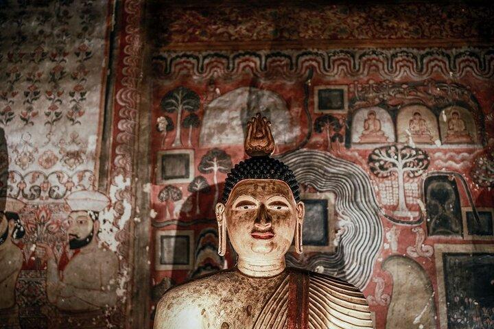 Sri Lanka 7Days Private Guided Tour with Hotels.