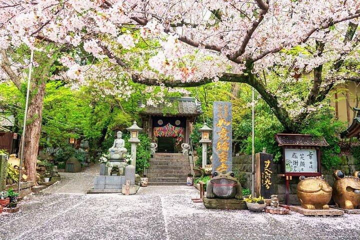 Fukuoka: Dazaifu Shrine, Beppu Ropeway & Yufuin Scenic Day Tour