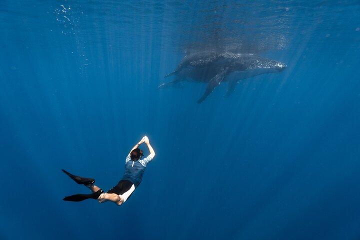 Shared Whale Expedition