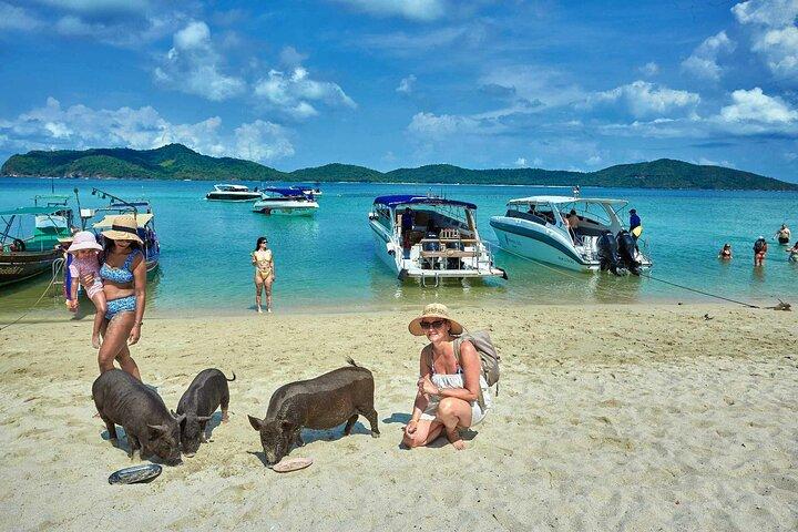 Pig Island Tour by Speedboat with Snorkeling