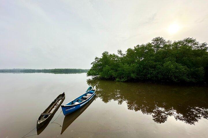 Divar Island excursion with Local residents on Nature and Culture