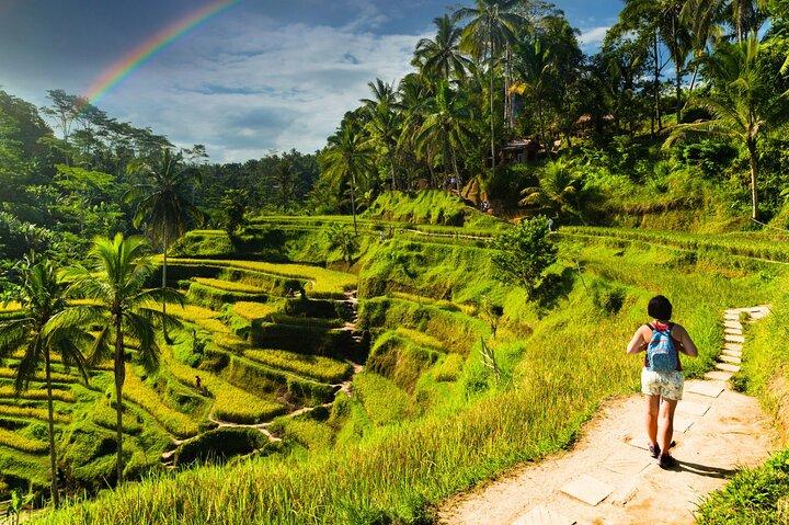 Bali Cultural Experience