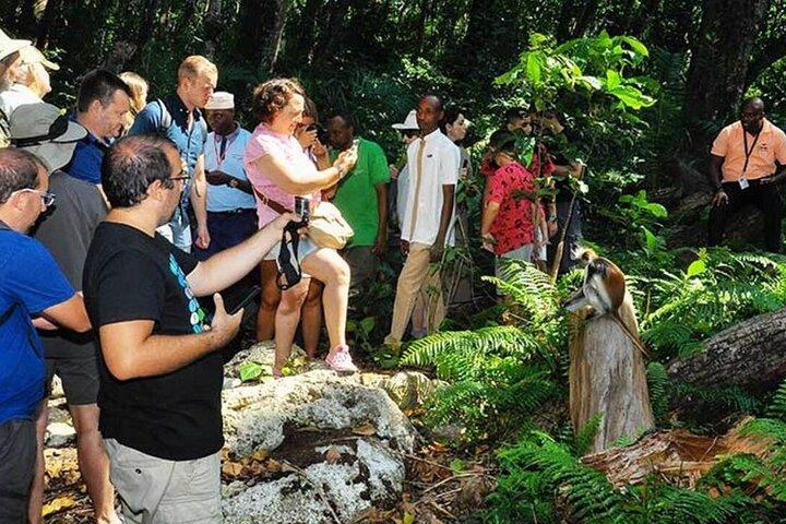 Zanzibar Half Day Trip on Jozani Forest