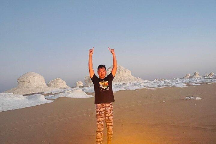 2Days Safari Experience White Desert Camping Adventure from Cairo