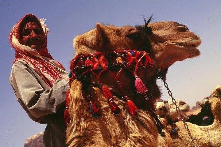Private Camel Ride Sunset View at Wadi Rum,Include tea and snacks