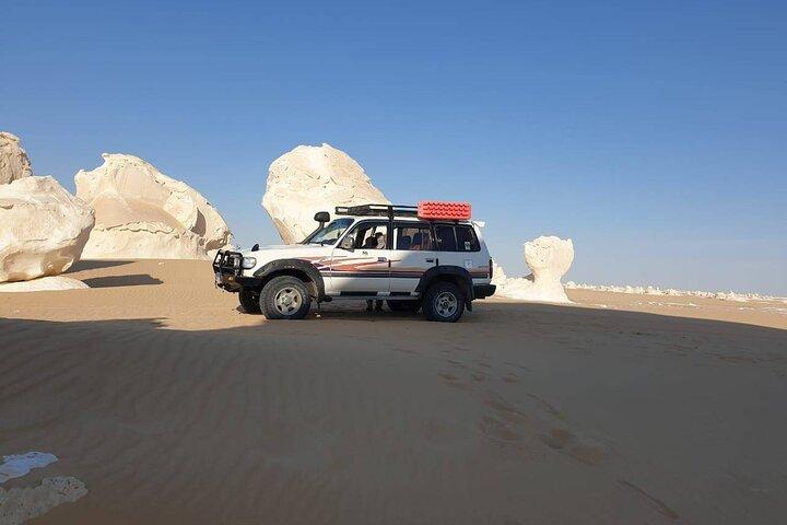 2Days Safari Experience White Desert Camping Adventure from Cairo