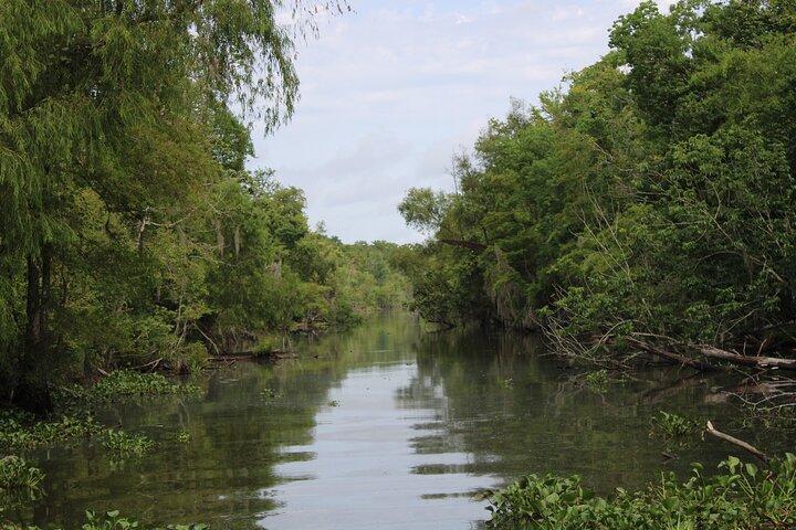 Covered Boat Swamp Tour