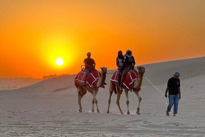 Dubai Evening Desert Safari With BBQ & Camel Ride