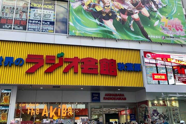 Akihabara Private Walking Tour – Anime, Games & Otaku Culture