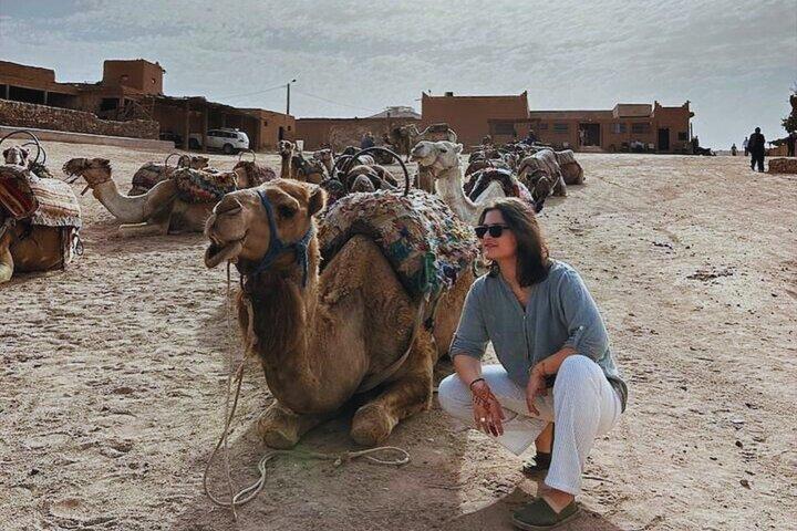 Agafay Desert: Camel and Quad Bike with Chouf L’Or Dinner