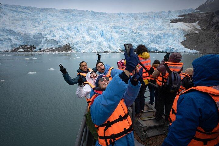 Whale and Glacier Watching from Punta Arenas Francisco Coloane Park