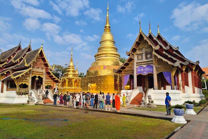 Chiang Mai Temple & Meditation Walking Tour with a Former Monk 1
