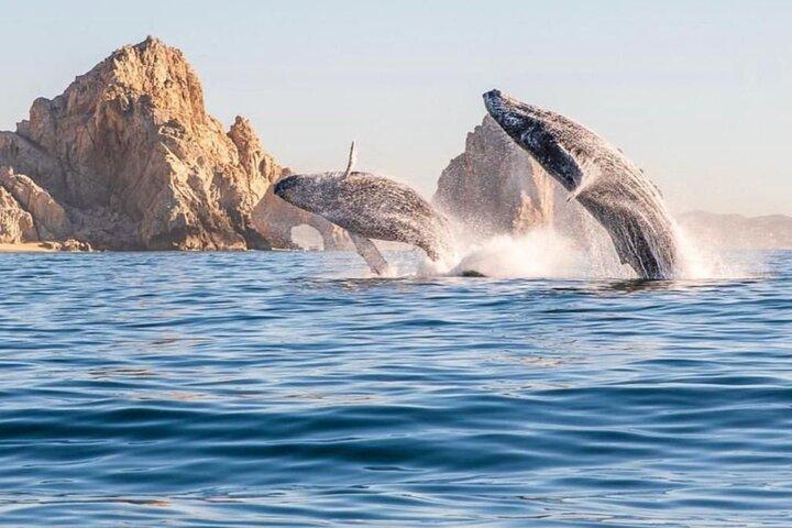 The Original Adventure of Cape | Arch and Beach of Love