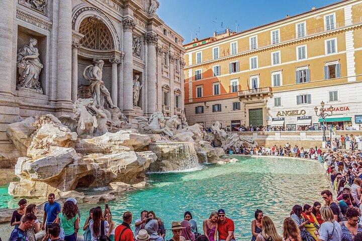 Rome and Vatican Private Day Car Tour