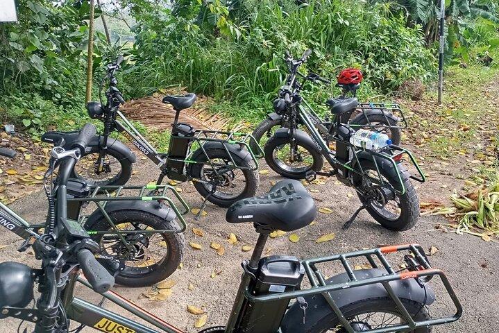 40km E bike Bike Day Tour in Galle