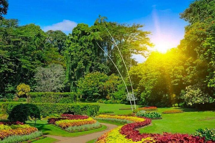 From Colombo: Kandy and Pinnawala Full-Day Trip
