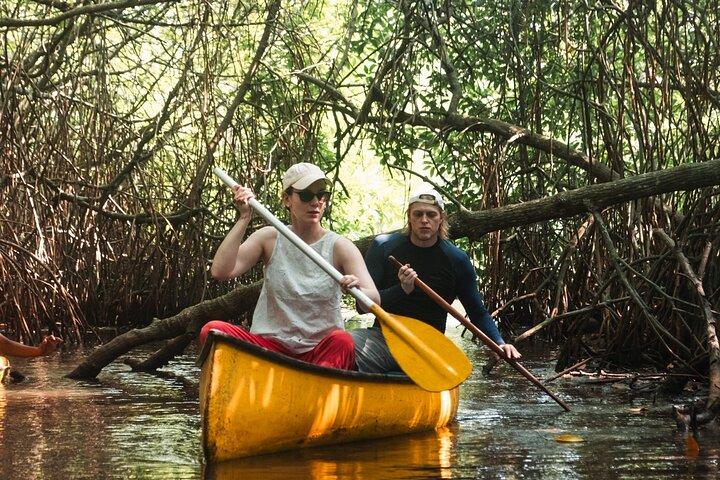 Unawatuna Lagoon Canoeing Excursion
