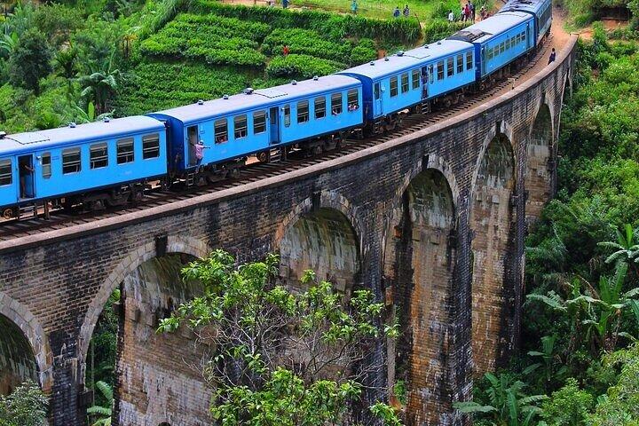 10 Days Private Vehicle & Driver Explore Sri Lanka By Your Plans