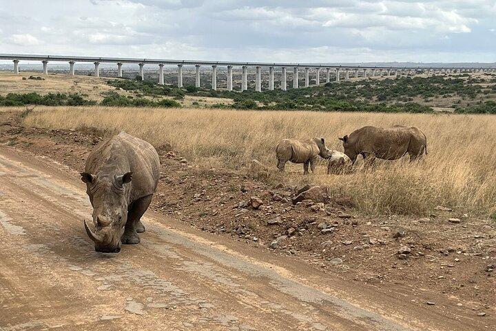 Nairobi National Park Half-Day Game Drive with Hotel Pickup