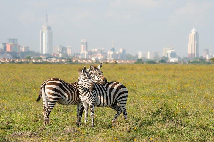 Nairobi National Park Half-Day Game Drive with Hotel Pickup