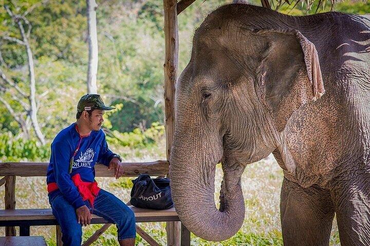 Krabi Immersive Elephant Sanctuary Experience