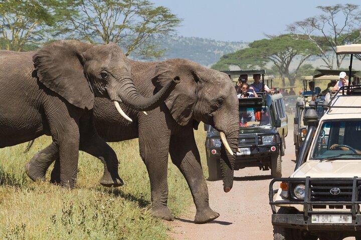 Private 3 Days Samburu National Park Safari All Inclusive