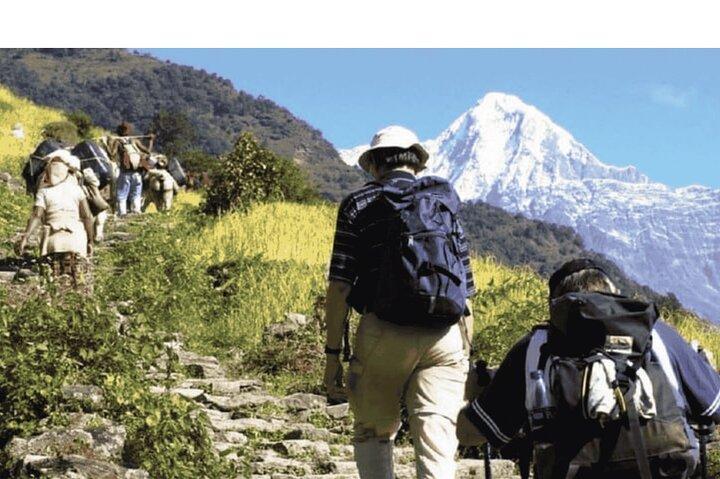 Pokhara: Unforgettable Pokhara to Annapurna Foothills Day Hike