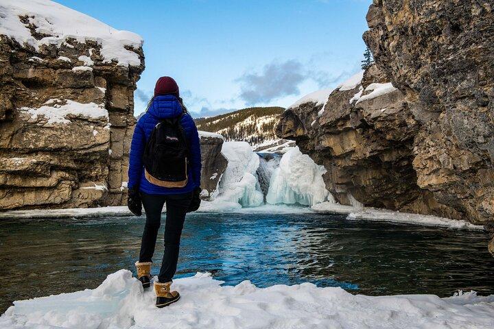 Day Tour to Banff Gondola Johnston Canyon Hiking Hot Springs