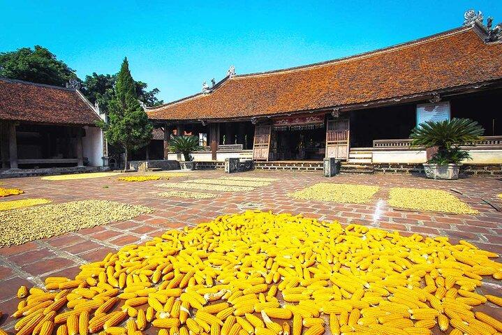 Private Tour Explore Hidden Gems of Duong Lam Ancient Village