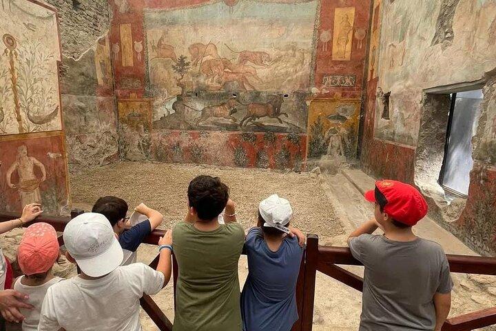From Sorrento: Pompeii and Mount Vesuvius Day Trip with Guide