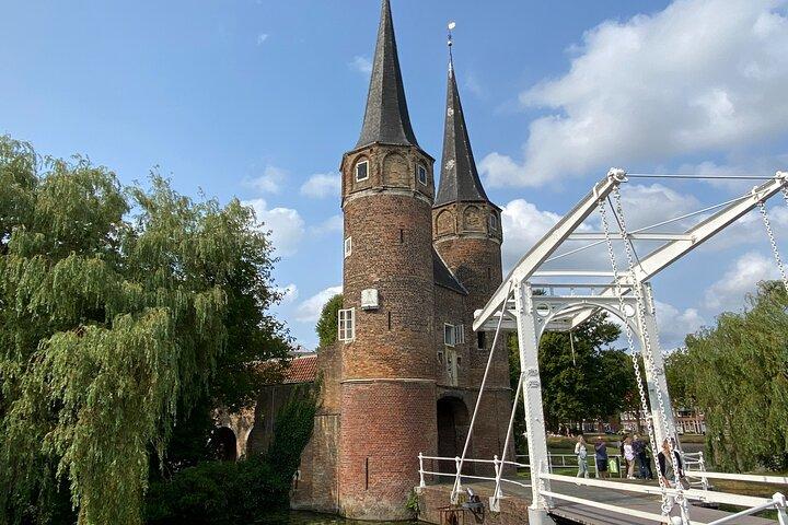 Kinderdijk, Delft and The Hague Private Tour from Amsterdam