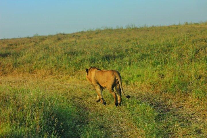 Nairobi Full Day Excursion