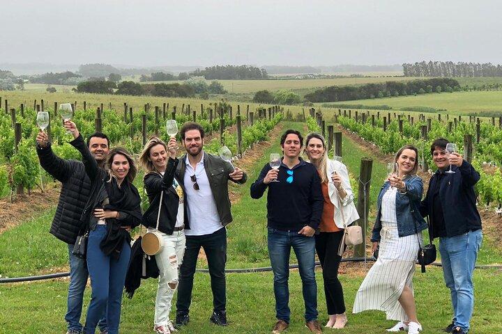 Wine Lovers - Bodega Bouza Experience!