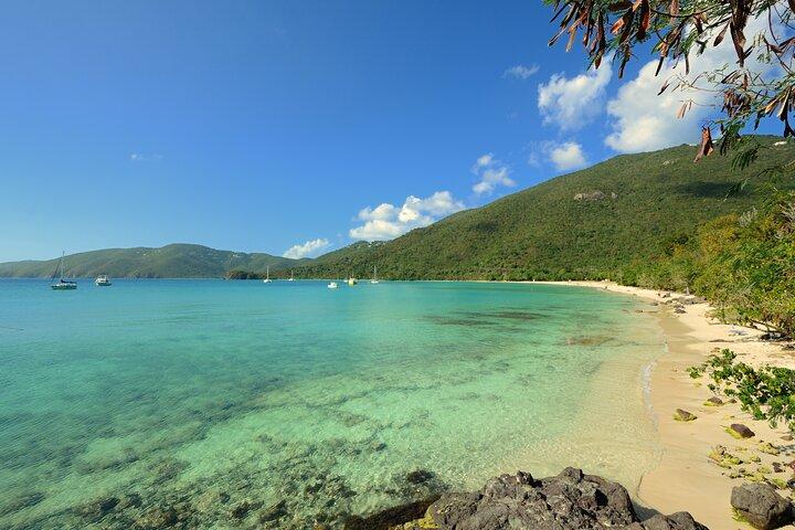 Snorkeling with Sea Turtles at St. Thomas