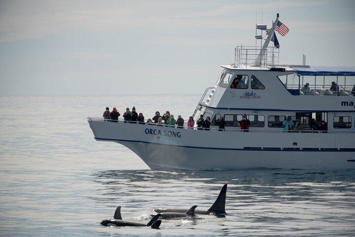 Full-Day Kenai Fjords National Park Northwestern Cruise