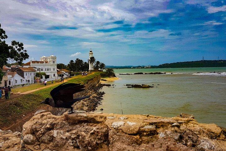 5 Day Wildlife Safari Tour in Sri Lanka