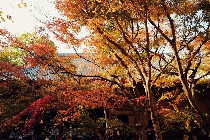 Luxury Classic Kyoto Day Tour - Private Customized Car Tour