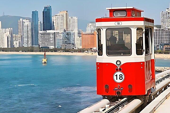 Authentic Busan Full-Day City Highlights Tour