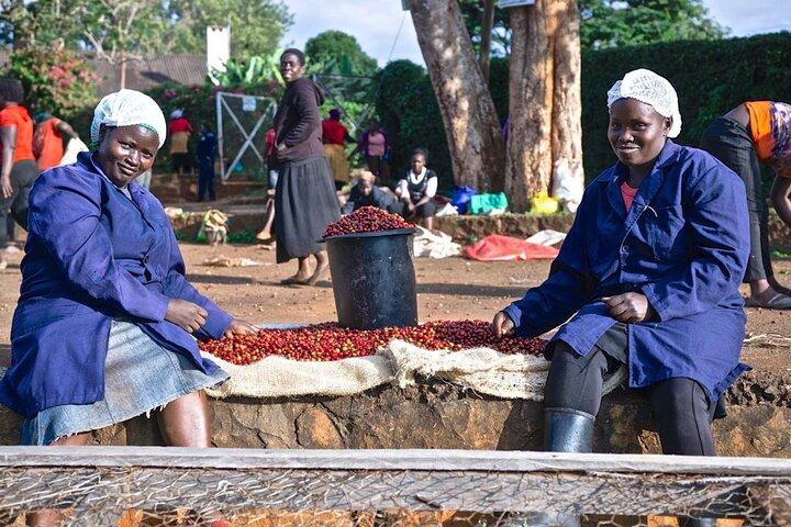 Coffee Farm and Factory Half Day Tour with Pickup