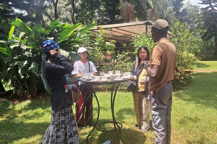 Coffee Farm and Factory Half Day Tour with Pickup