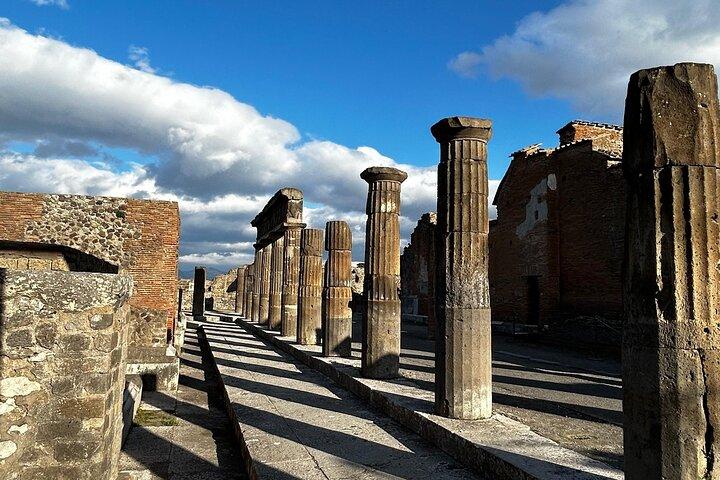 Rome Airport to Pompeii Tour with drop off Sorrento and Positano