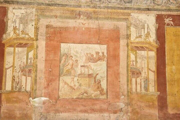 Rome Airport to Pompeii Tour with drop off Sorrento and Positano
