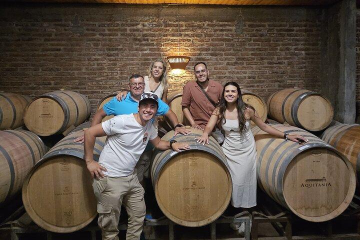 Private Maipo Valley Wine Experience: 2 Premium Wineries & Lunch