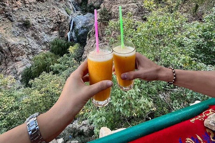 Marrakech: Atlas Mountains, Ourika Valley with Lunch & Guide